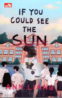 Image of IF YOU COULD SEE THE SUN