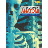 Image of AT A GLANCE SERIES ANATOMI