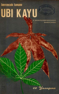 Image of BERCOCOK TANAM KETELA POHON
